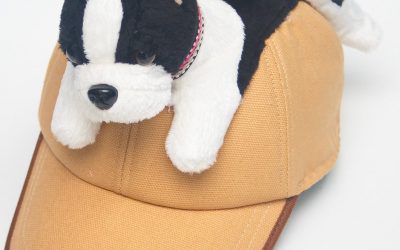 หมวกตุ๊กตาสุนัข Dog cap